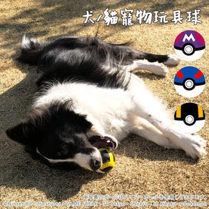 日本 神奇寶貝POKÉMON ｜寶可夢 寵物玩具球-四款可選 - 富士通販