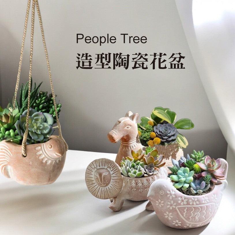 日本People Tree 造型陶瓷花盆盆栽花器多肉植物– 富士通販