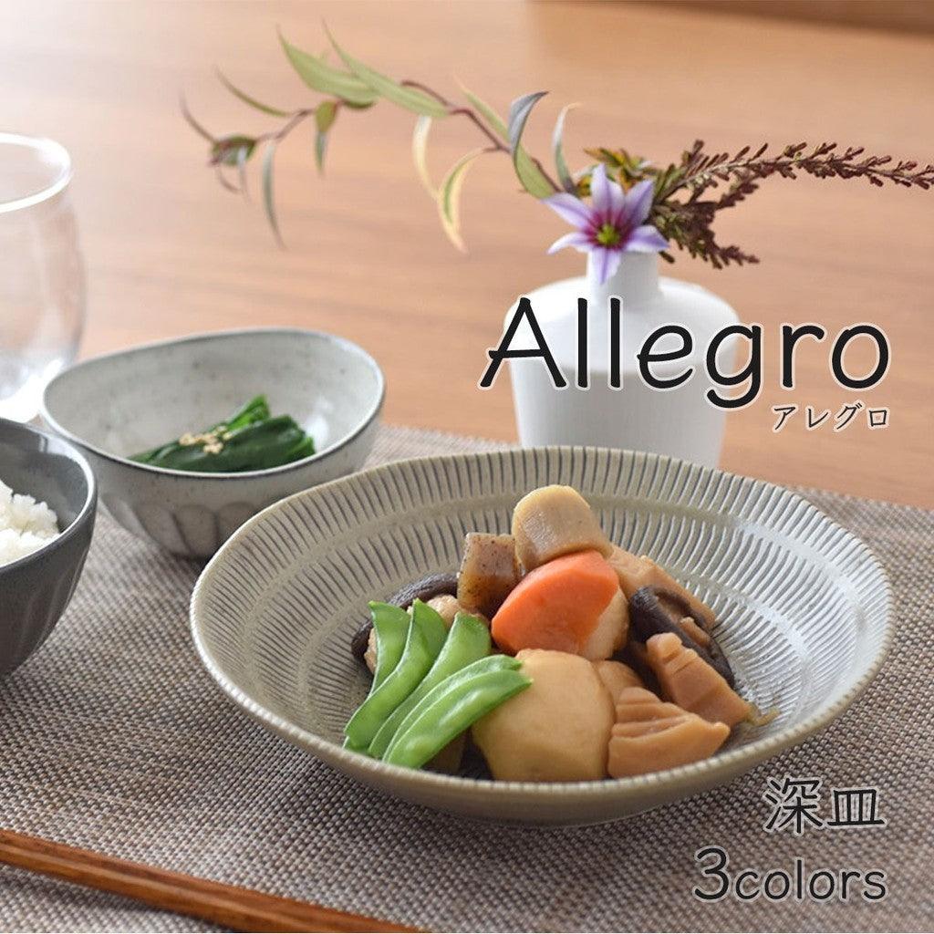 日本製 美濃燒 Allegro 陶瓷深盤 共三色