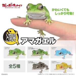 日本 BANDAI 萬代 生物大圖鑑日本雨蛙 扭蛋