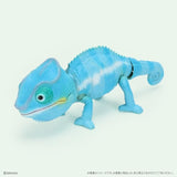 日本 生物大圖鑑 變色龍 扭蛋 動物模型 爬蟲公仔 可動模型