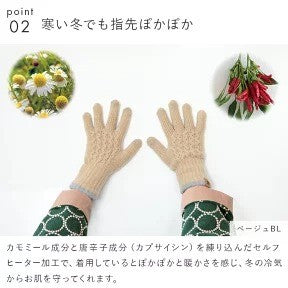 日本製 Tehtava+ 保暖觸控手套 2025最新款式 | 觸控手套 滑雪手套 保暖手套 男女通用