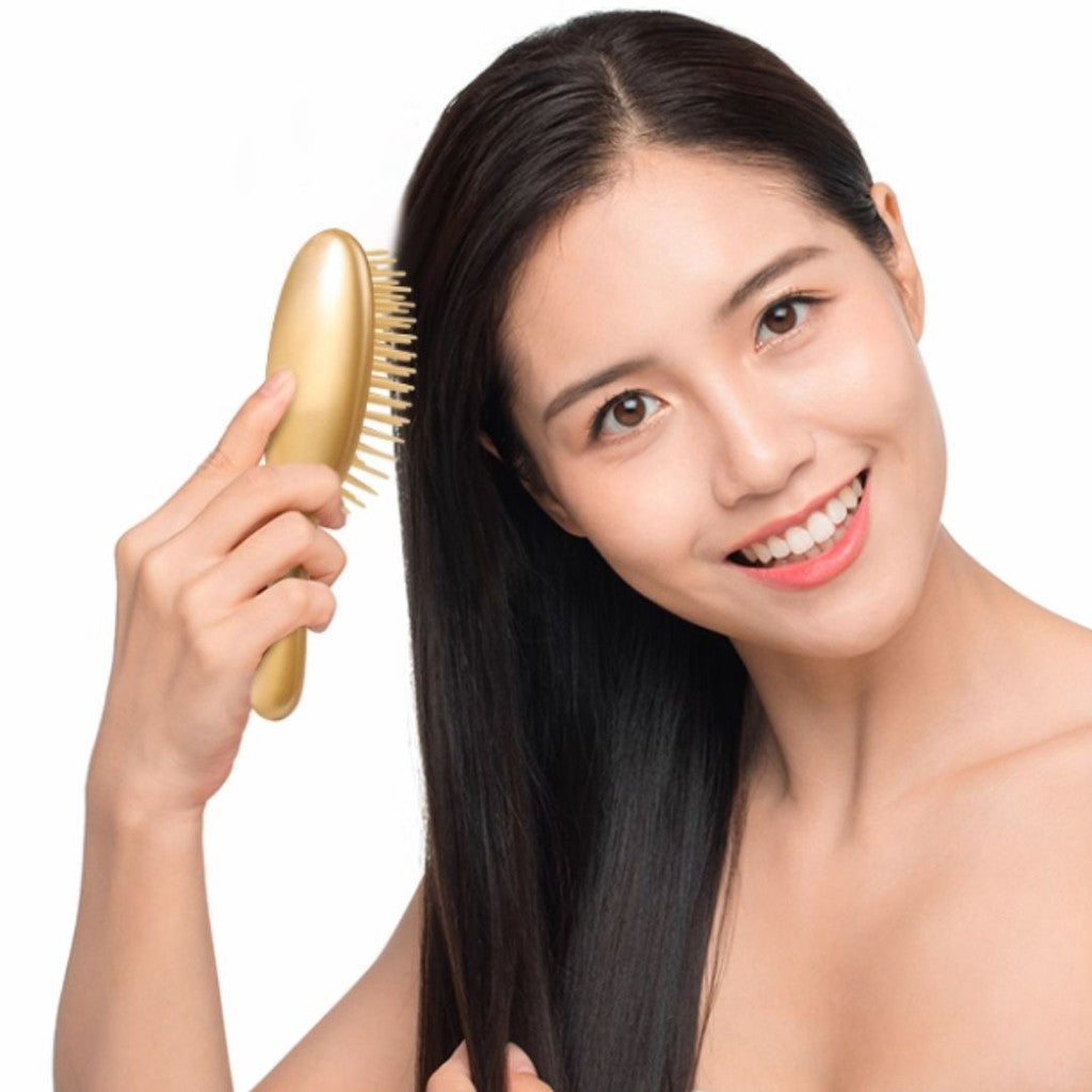 日本製 IKEMOTO 池本 山茶花 亞麻油 洗髮刷 除靜電梳子 | 樁油 護髮梳 美髮梳 頭皮按摩梳