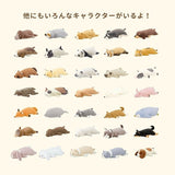 LivHeart 馬抱枕 M L︱靠枕 午睡枕 動物抱枕 療癒娃娃 絨毛玩偶 禮物