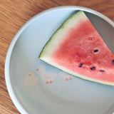 美濃燒 UN 動物陶瓷圓盤︱深盤 咖哩盤 甜點盤 義大利麵 盤子