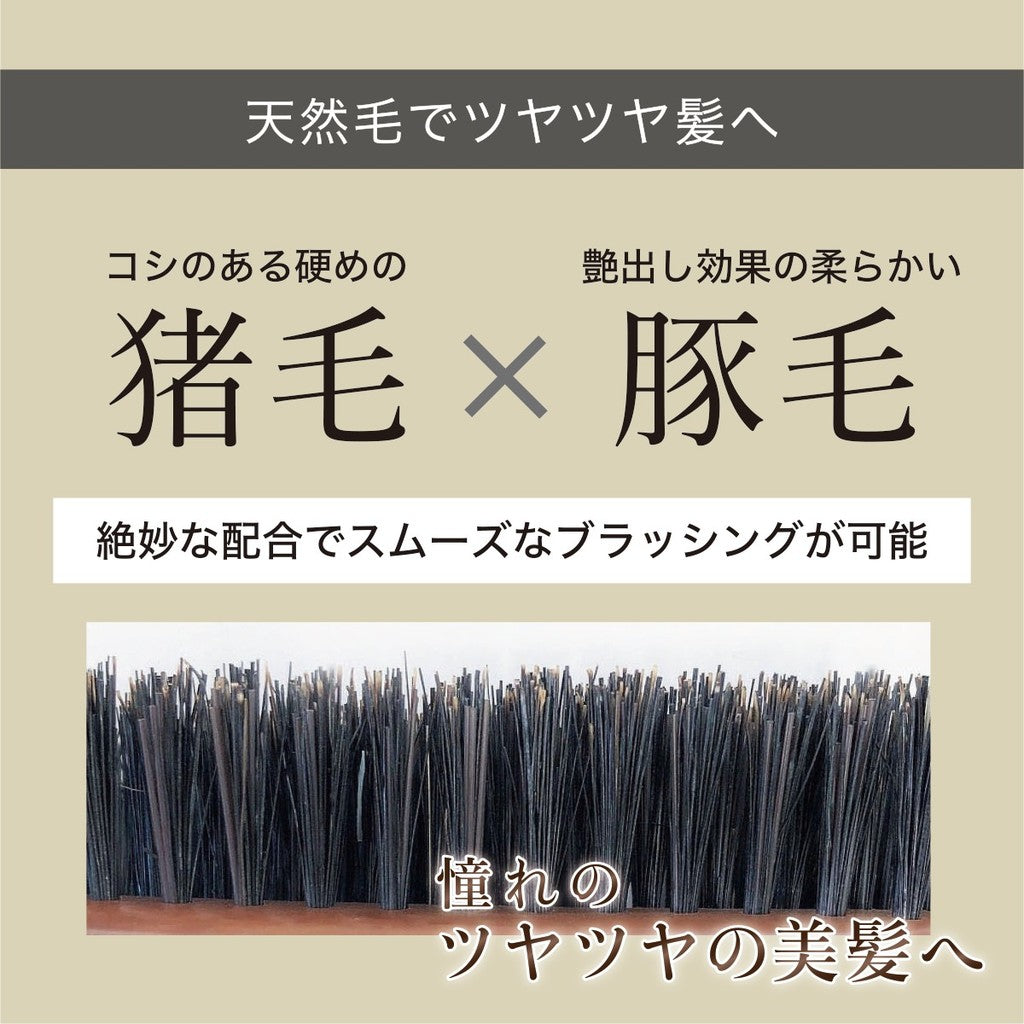 日本製 VeSS 天然豬鬃毛梳 EXCEL 1600 90 630 | 圓梳 摺疊梳 防靜電 美髮梳