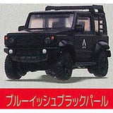 日本 STASTO 1/64 轉蛋 扭蛋 1比64 PLUS APIO JIMNY JB74 模型 - 富士通販