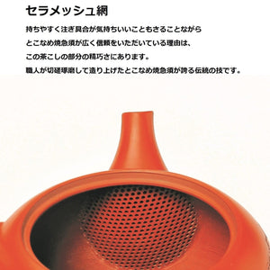 日本 常滑燒 金水小丸茶壺 黑色 180ml