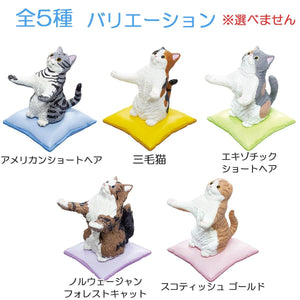 日本扭蛋貓系列(隨機發貨) - 富士通販