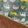 防靜電處理 貓咪 樹懶 圖案 法蘭絨 午睡毯 斗篷披風 - 富士通販