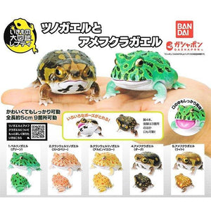 日本 Bandai 萬代 生物大圖鑑 角蛙與饅頭蛙｜扭蛋 兒童教具 - 富士通販